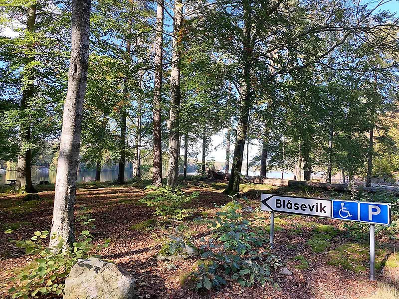 Skogsmiljö med en skylt där det står Blåsevik samt en skylt som visar att vägen är tillgänglig med rullstol.